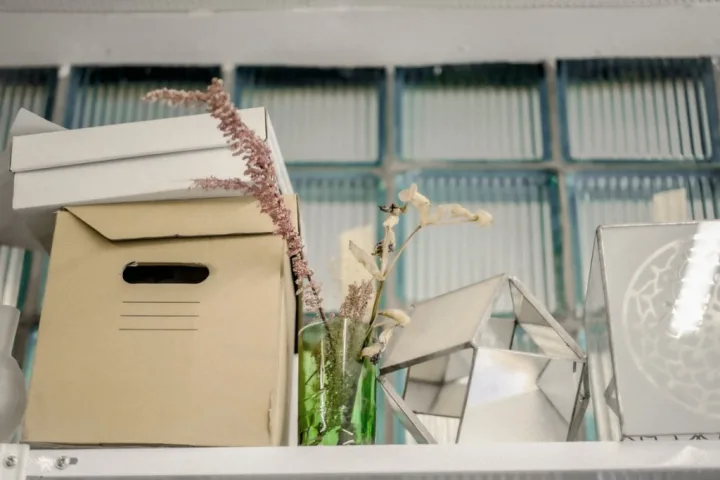 Boxes on top of the shelf with dried plants