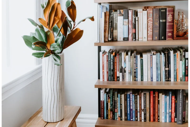 A plant in a vase next to a bookshelf.