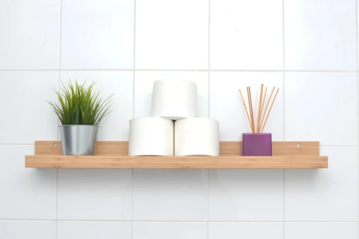 A shelf with toilet paper rolls and a potted plant.