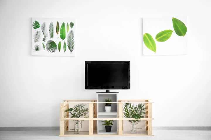 A tv on a stand with plants in pots.