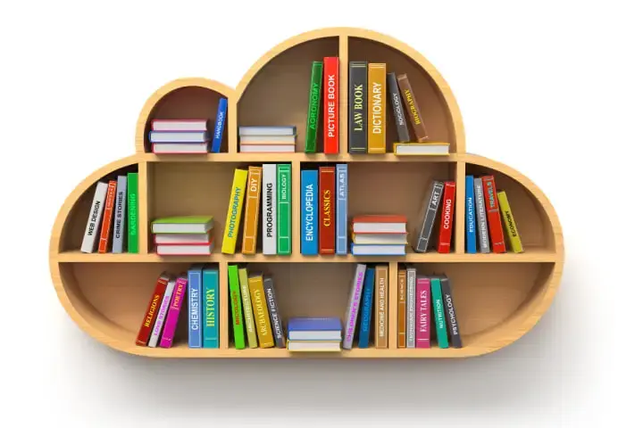Child's wood book shelf as part of kids closet ideas.
