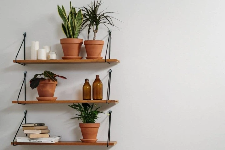A shelf with plants and candles.