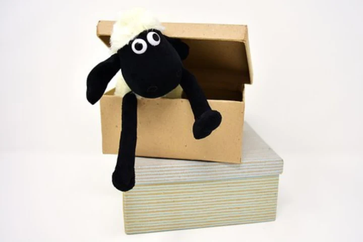 A stuffed toy in a small box.
