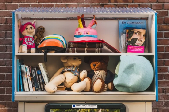 Kids bookshelf with toys.
